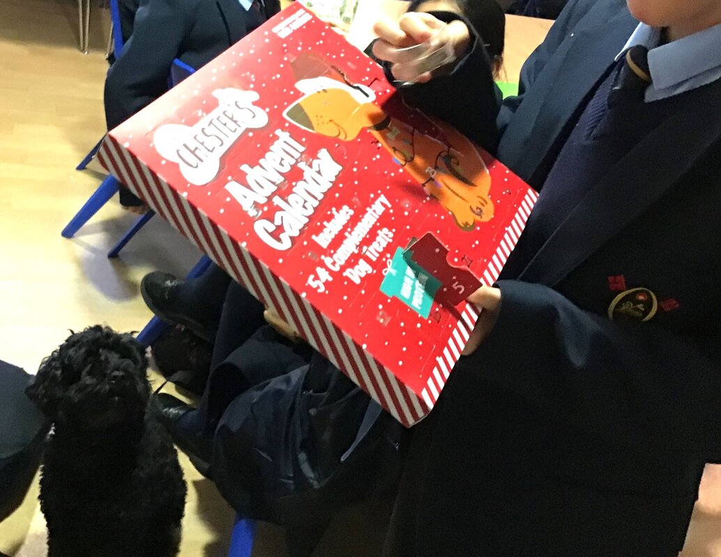 Image of Fred the school dog enjoys Advent