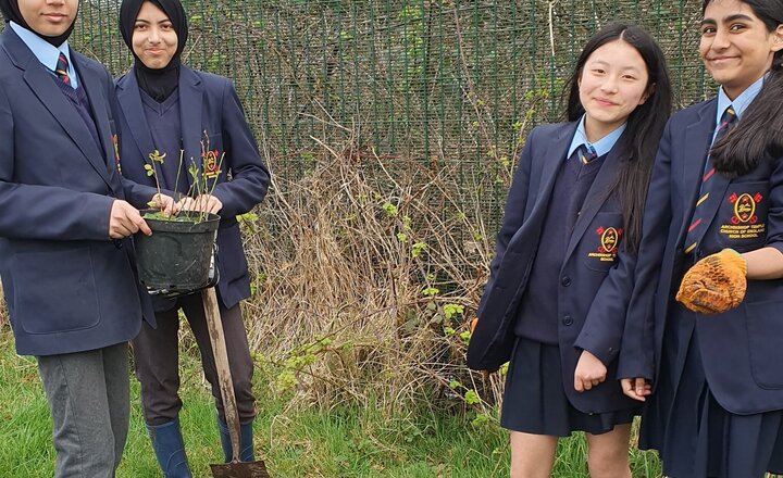 Image of Year 7 plant and learn the importance of trees in Geography